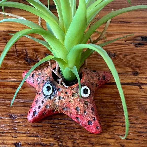 Adorable Starfish Air Plant Holder Ocean Beach Coastal Decor Kids Nursery - Picture 2 of 4
